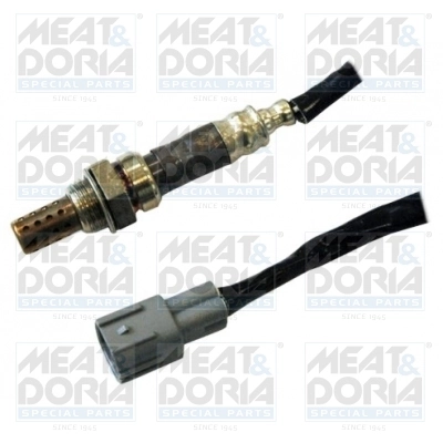Oxygen Sensor